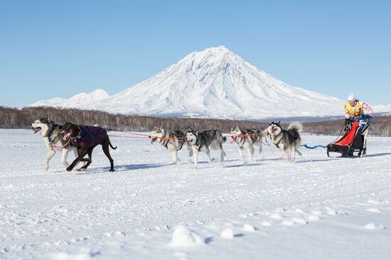 Beringia 2016 sled dog race on Kamchatka