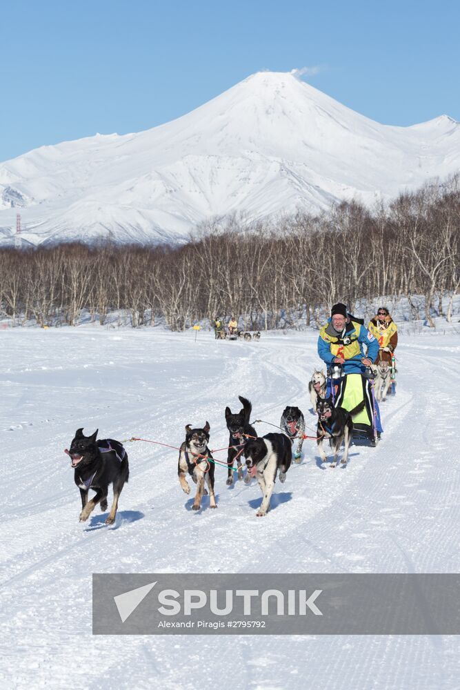 Beringia 2016 sled dog race on Kamchatka