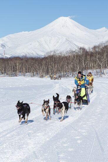 Beringia 2016 sled dog race on Kamchatka