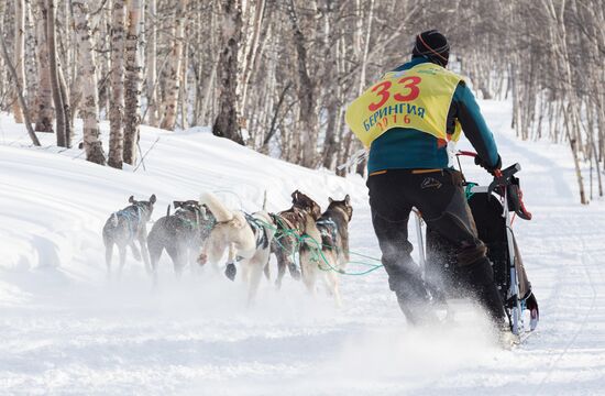 Beringia 2016 sled dog race on Kamchatka