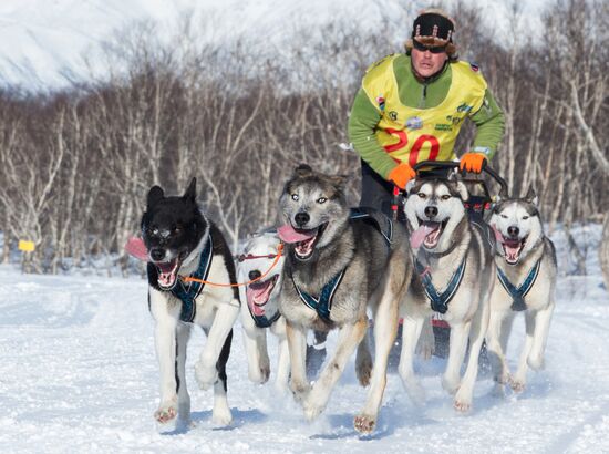 Beringia 2016 sled dog race on Kamchatka