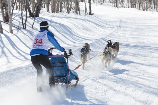Beringia 2016 sled dog race on Kamchatka