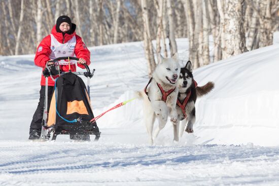 Beringia 2016 sled dog race on Kamchatka