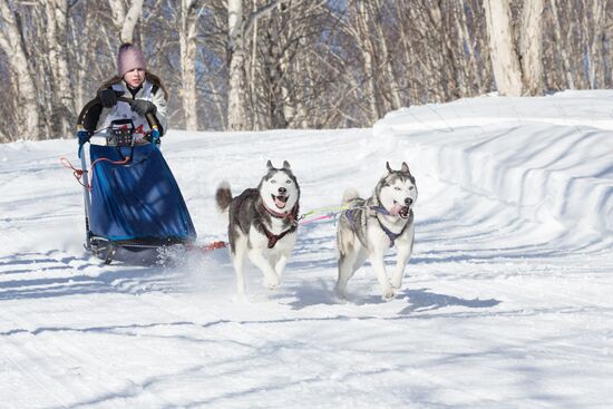 Beringia 2016 sled dog race on Kamchatka