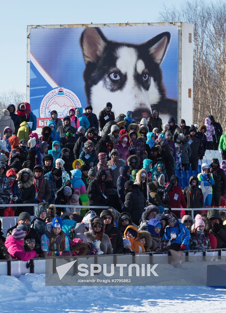 Beringia 2016 sled dog race on Kamchatka