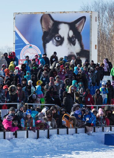 Beringia 2016 sled dog race on Kamchatka