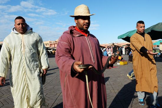 Marrakesh's medina quarter