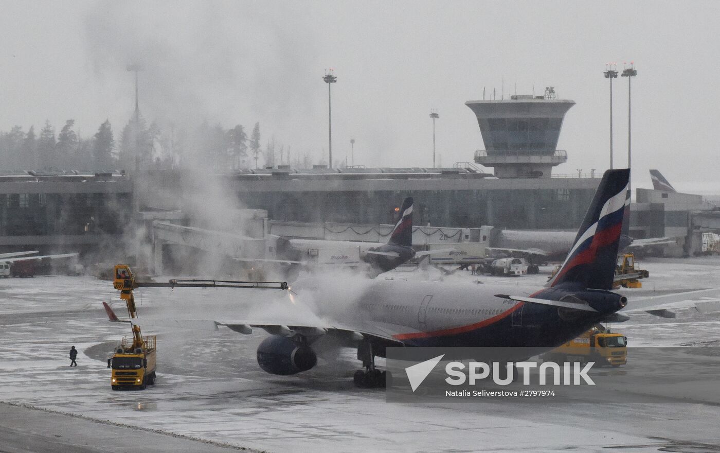 Sheremetyevo airport