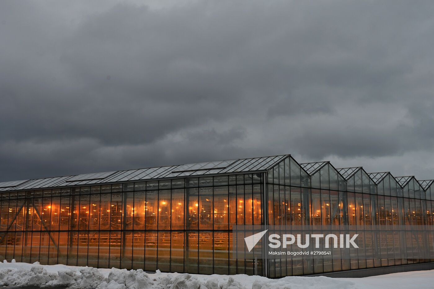 Maisky greenhouse center in Kazan