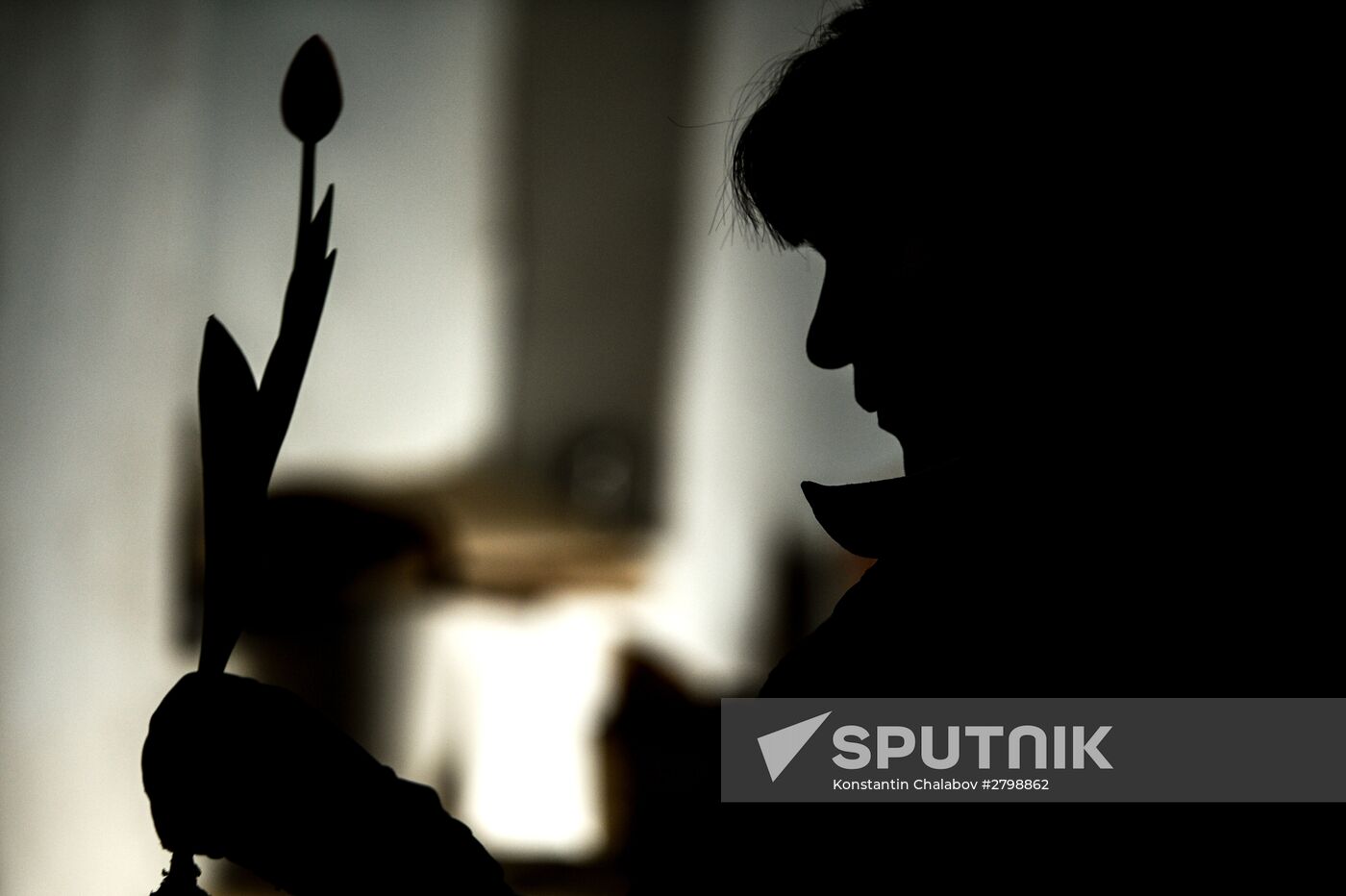 Hothouses grow flowers for International Women's Day