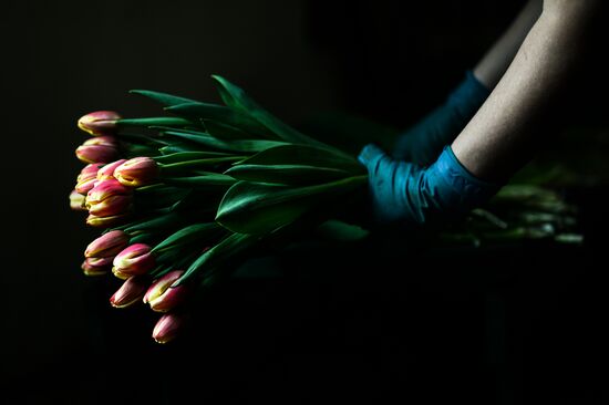 Hothouses grow flowers for International Women's Day