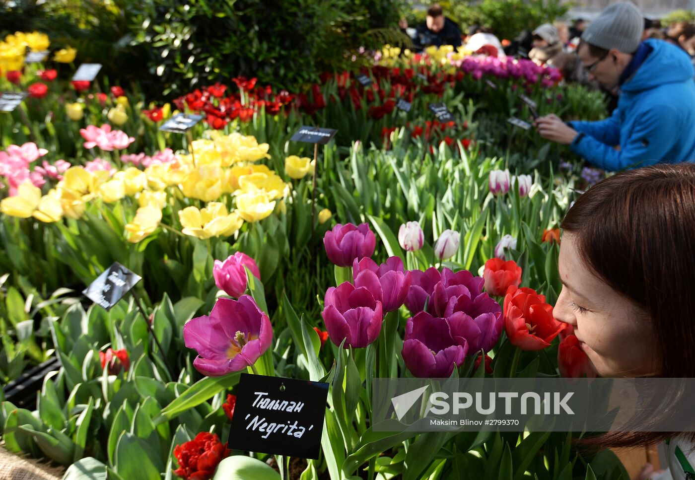 Second Annual Exhibition "Rehearsal of Spring" in Aptekarsky Ogorod garden