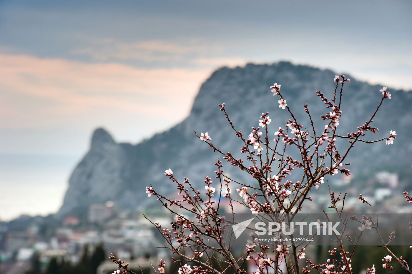 Regions of Russia. Crimea