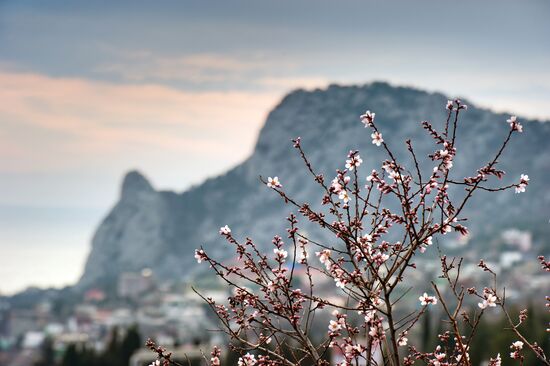 Regions of Russia. Crimea