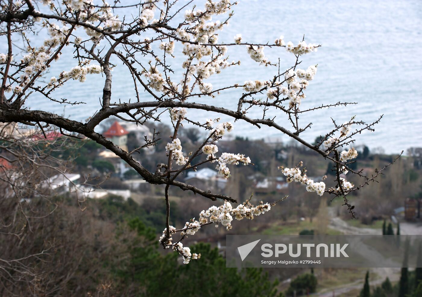Regions of Russia. Crimea