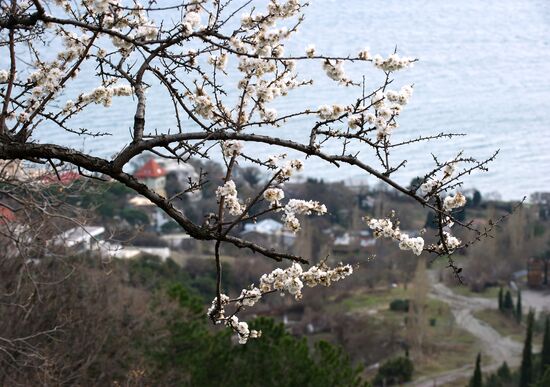 Regions of Russia. Crimea