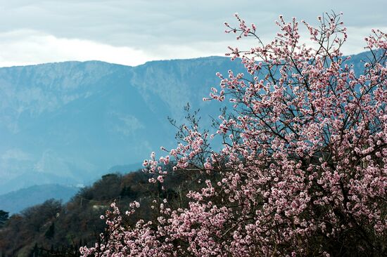 Regions of Russia. Crimea