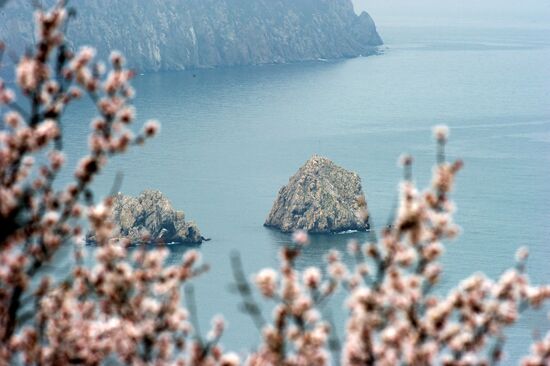 Regions of Russia. Crimea