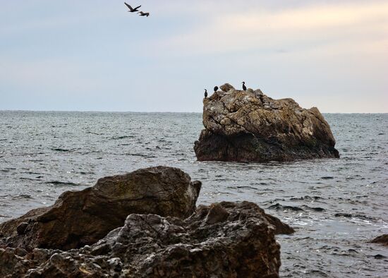Regions of Russia. Crimea