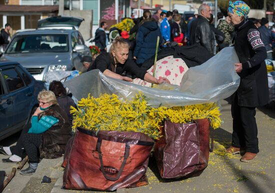 Mimosa flowers from Abkhazia on the Russian-Abkhazian border