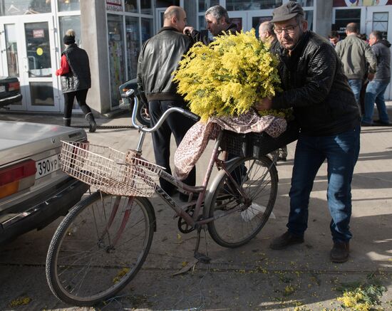 Mimosa flowers from Abkhazia on the Russian-Abkhazian border