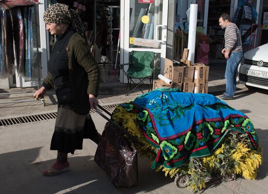 Mimosa flowers from Abkhazia on the Russian-Abkhazian border