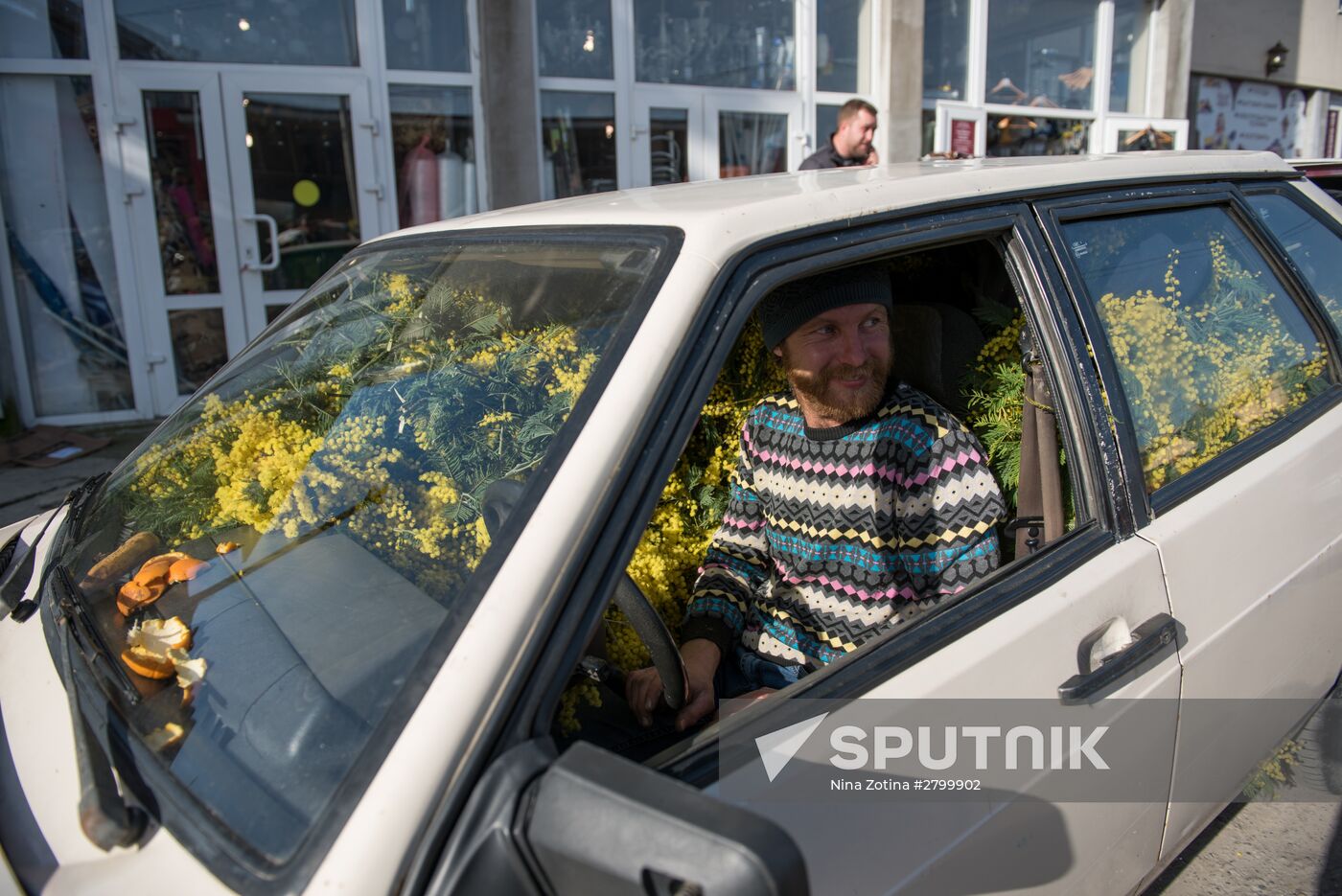 Mimosa flowers from Abkhazia on the Russian-Abkhazian border