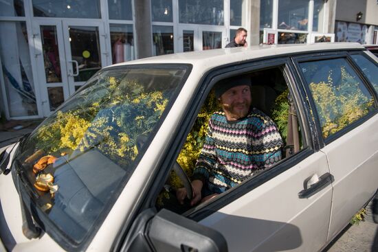 Mimosa flowers from Abkhazia on the Russian-Abkhazian border