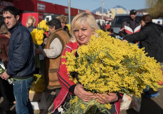 Mimosa flowers from Abkhazia on the Russian-Abkhazian border