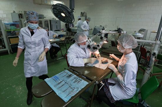 Yuzhno-Uralskiy State Medical University