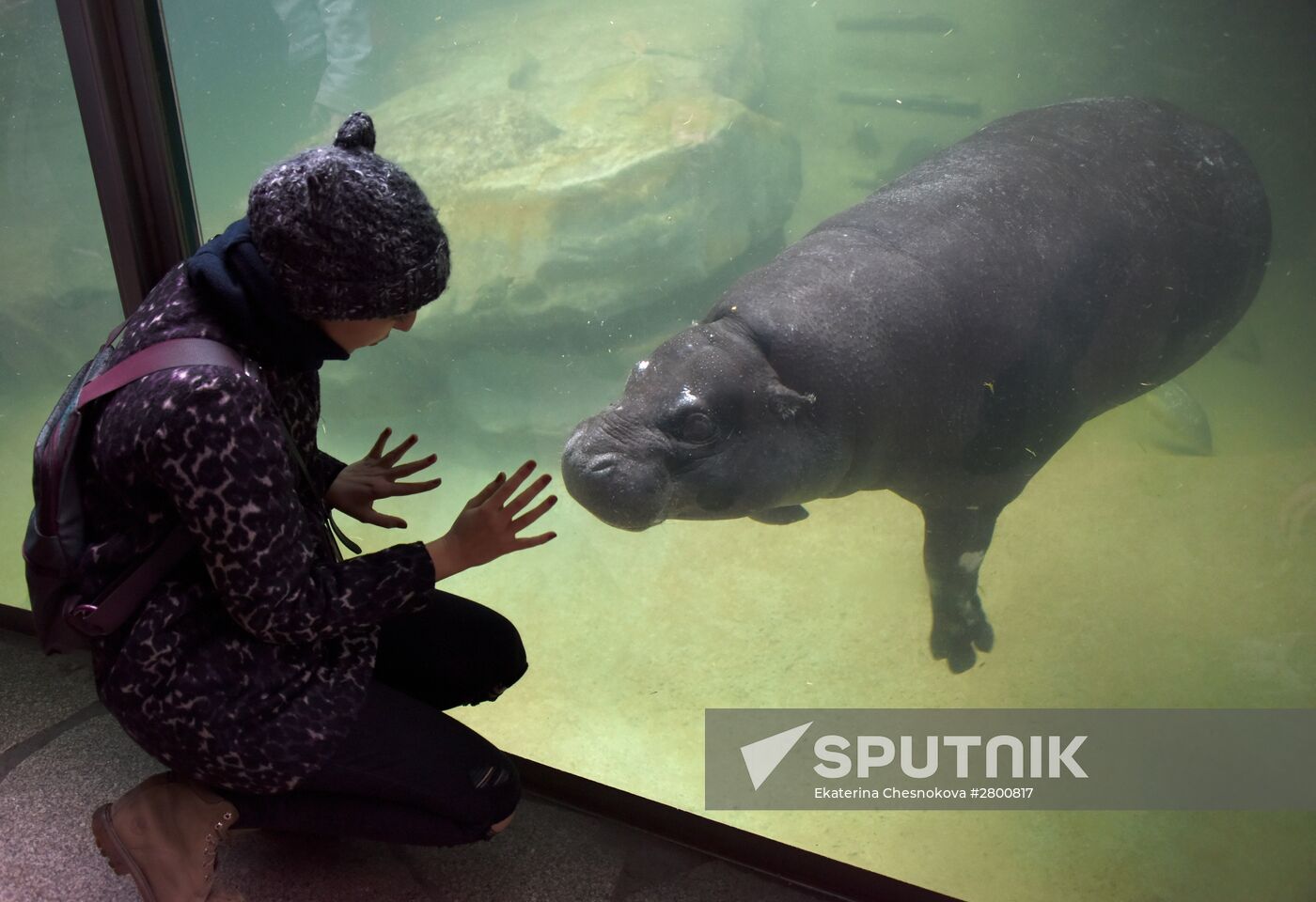 Cities of the world. Berlin Zoological Garden