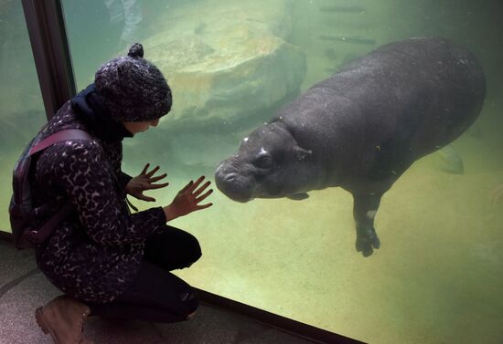 Cities of the world. Berlin Zoological Garden