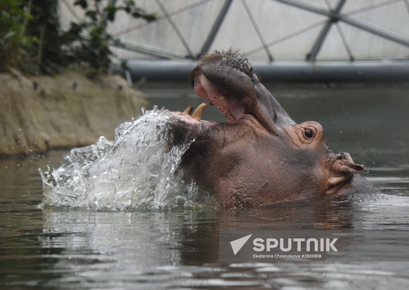 Cities of the world. Berlin Zoological Garden