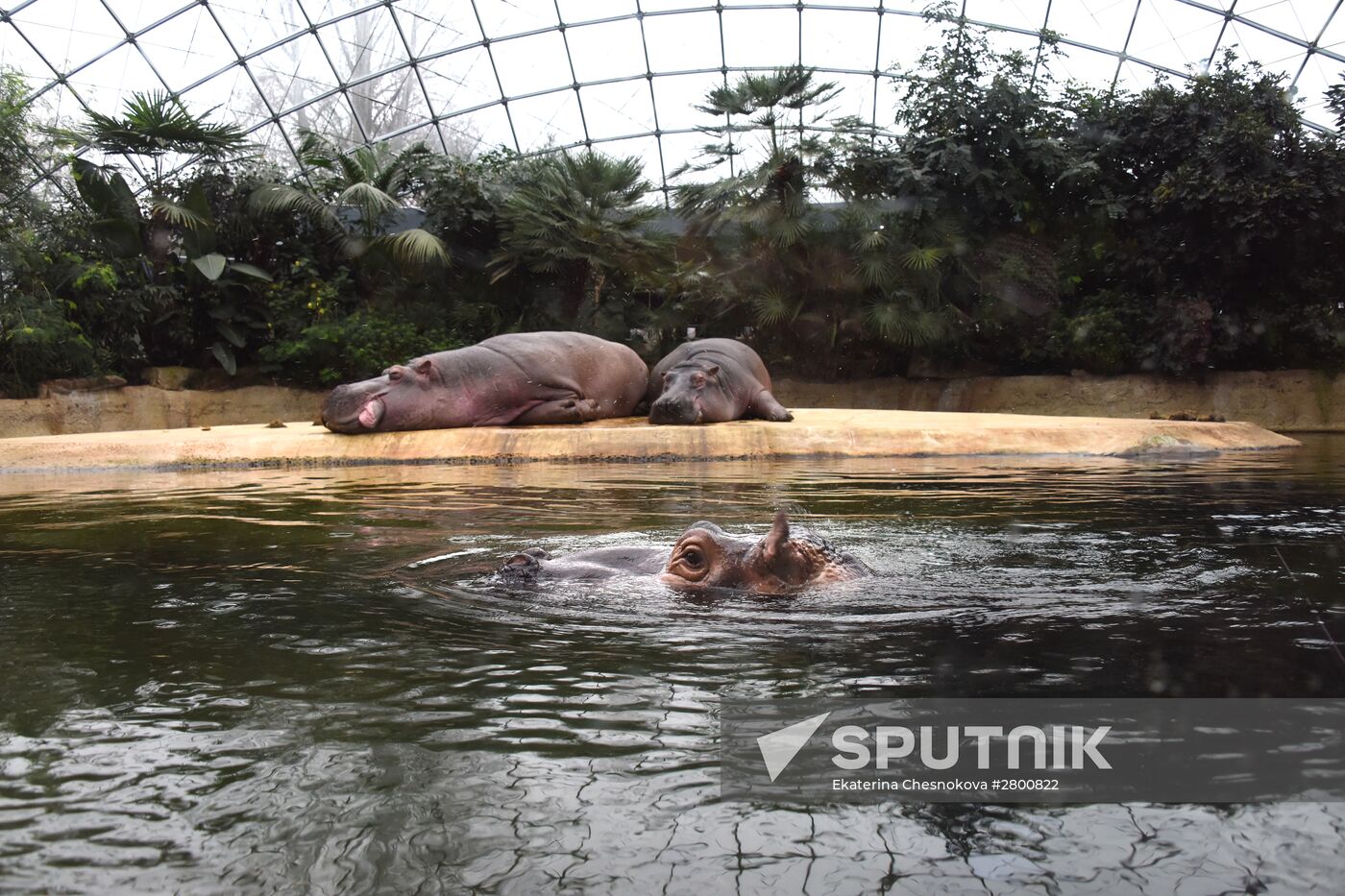 Cities of the world. Berlin Zoological Garden