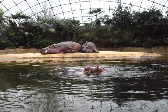 Cities of the world. Berlin Zoological Garden