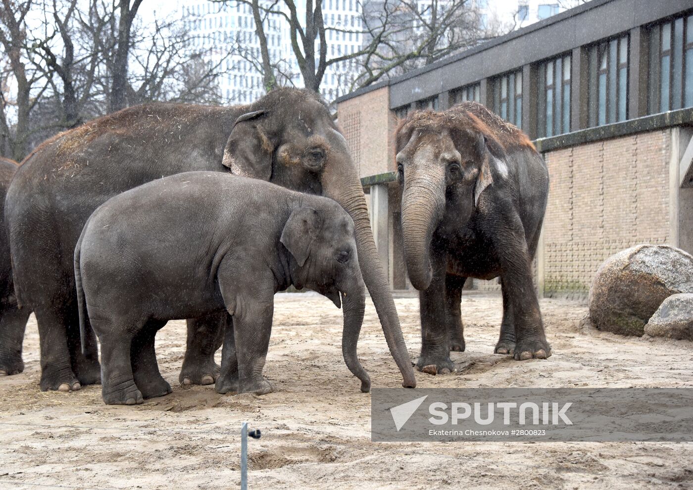 Cities of the world. Berlin Zoological Garden