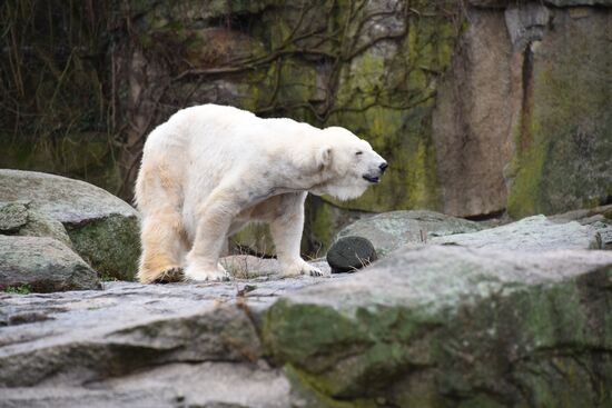 Cities of the world. Berlin Zoological Garden