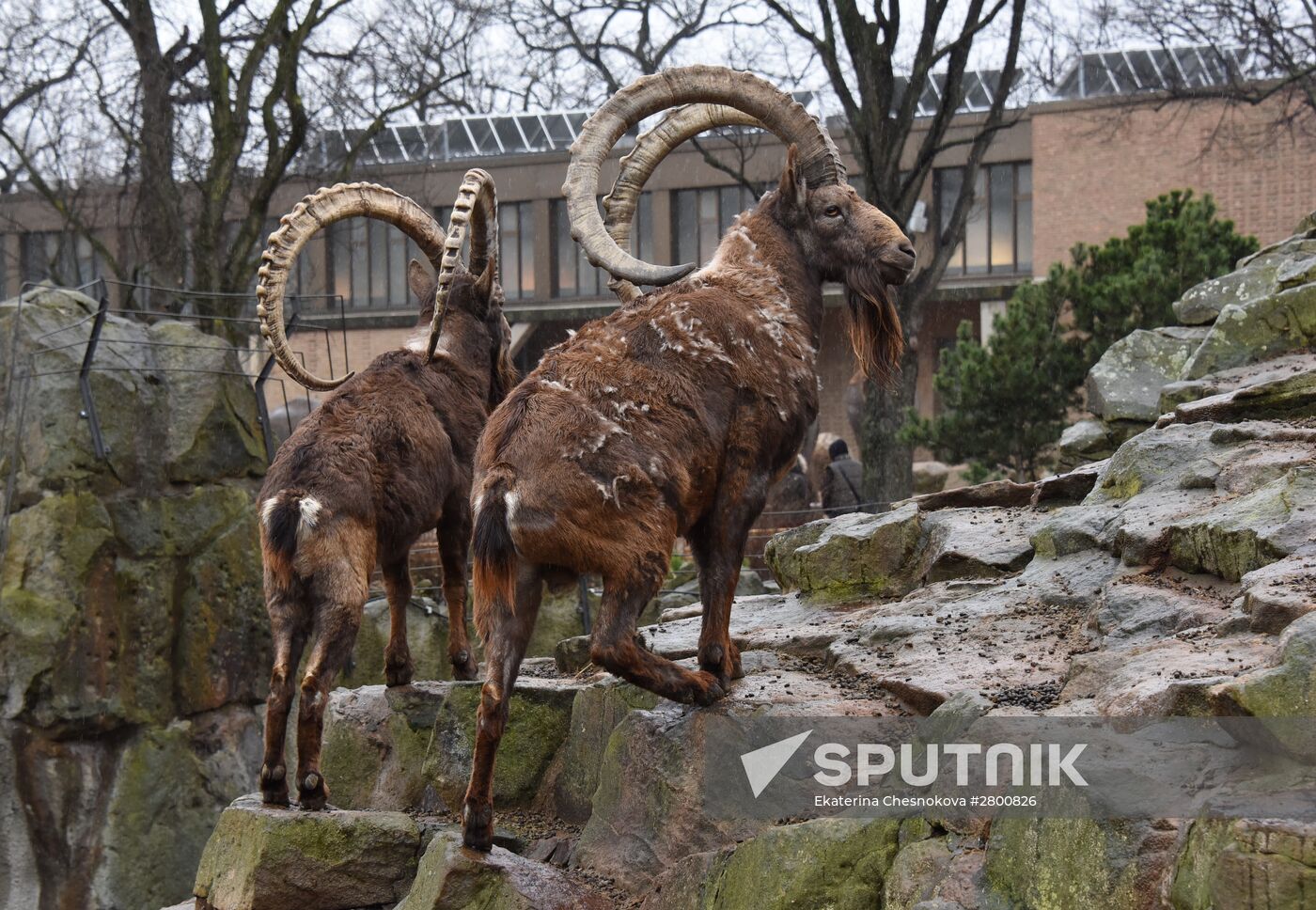 Cities of the world. Berlin Zoological Garden