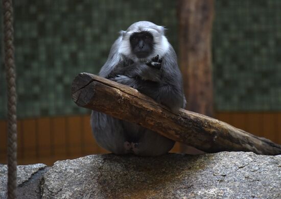 Cities of the world. Berlin Zoological Garden