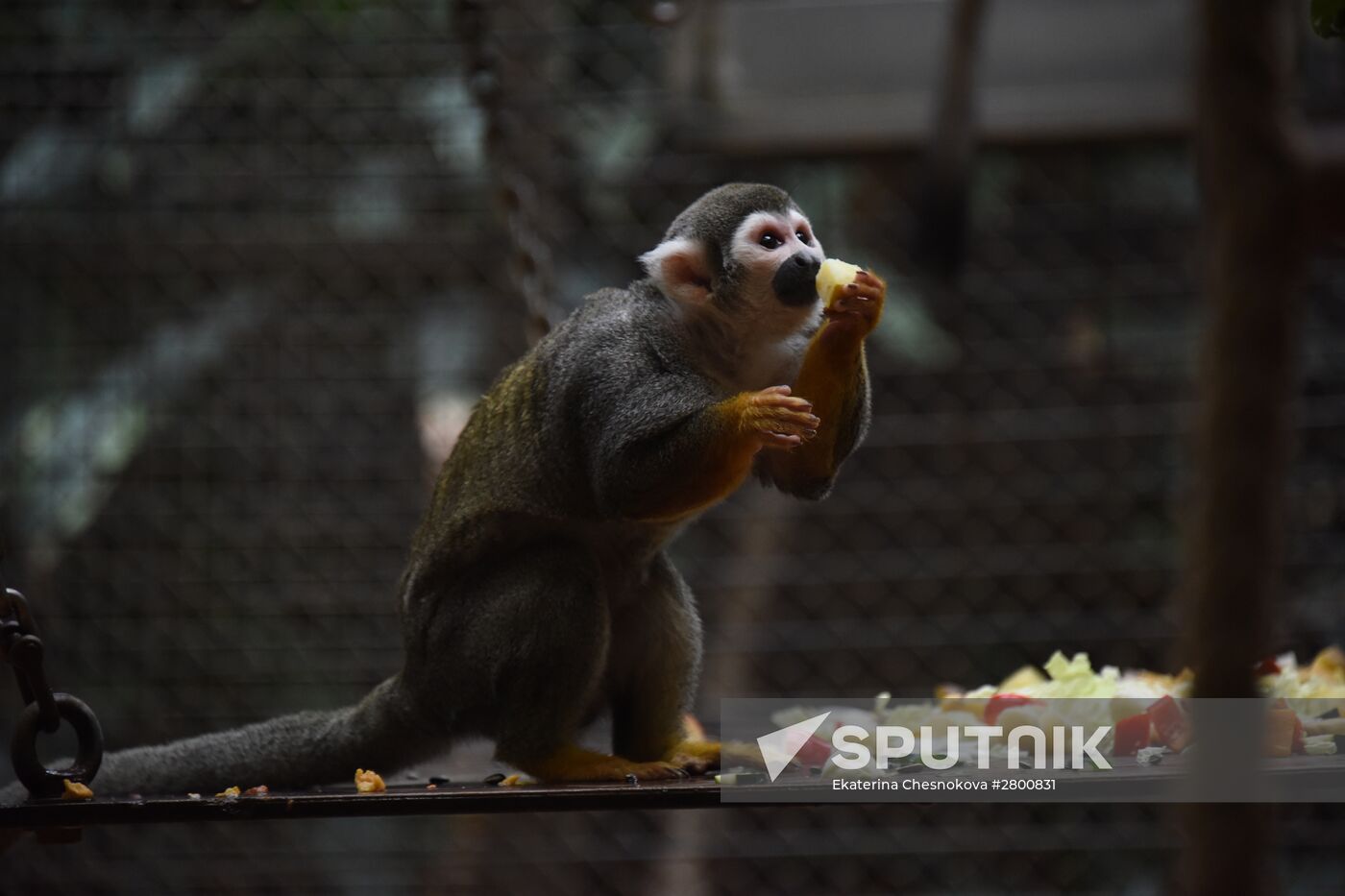 Cities of the world. Berlin Zoological Garden