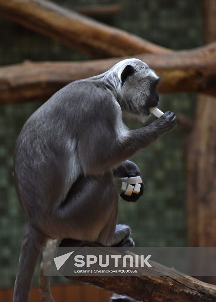 Cities of the world. Berlin Zoological Garden