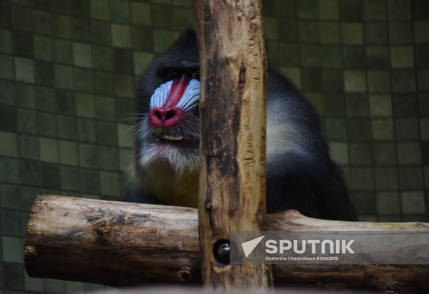 Cities of the world. Berlin Zoological Garden