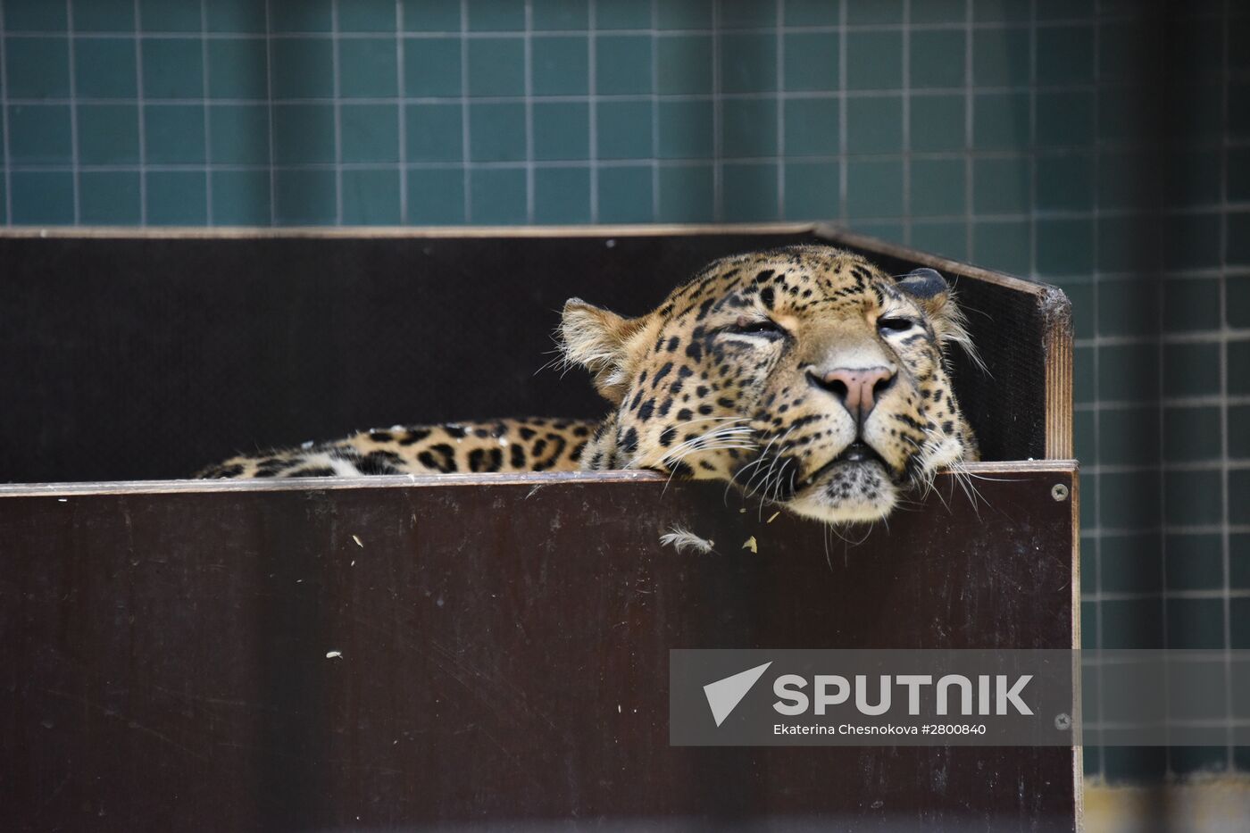 Cities of the world. Berlin Zoological Garden