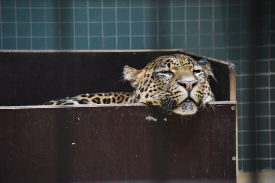 Cities of the world. Berlin Zoological Garden