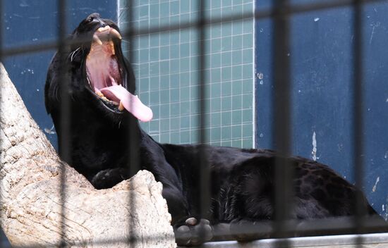 Cities of the world. Berlin Zoological Garden
