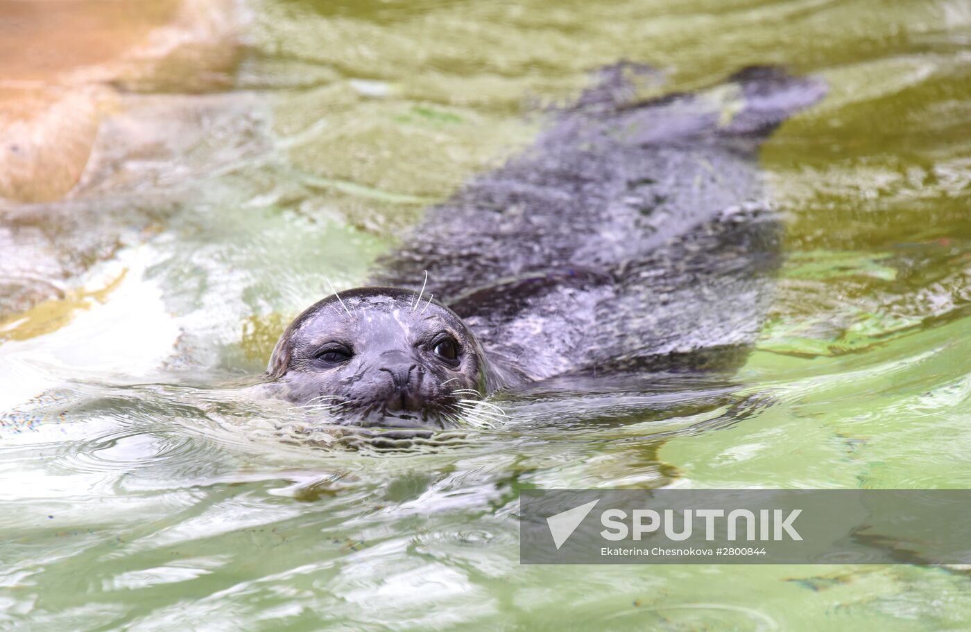 Cities of the world. Berlin Zoological Garden