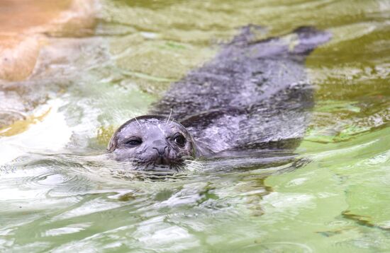 Cities of the world. Berlin Zoological Garden