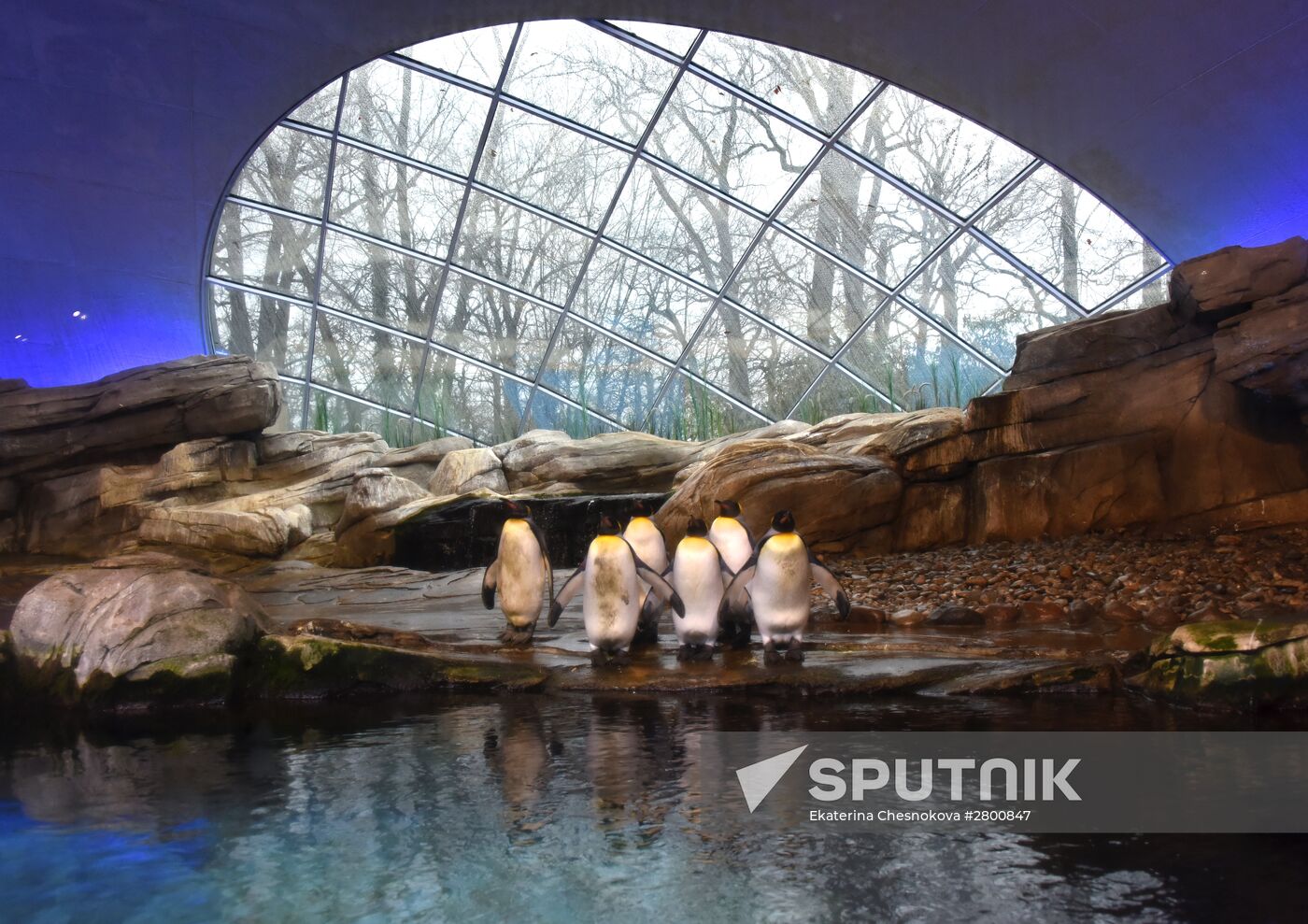 Cities of the world. Berlin Zoological Garden