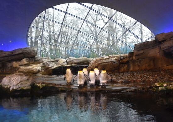 Cities of the world. Berlin Zoological Garden