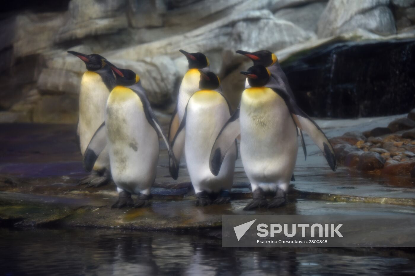 Cities of the world. Berlin Zoological Garden